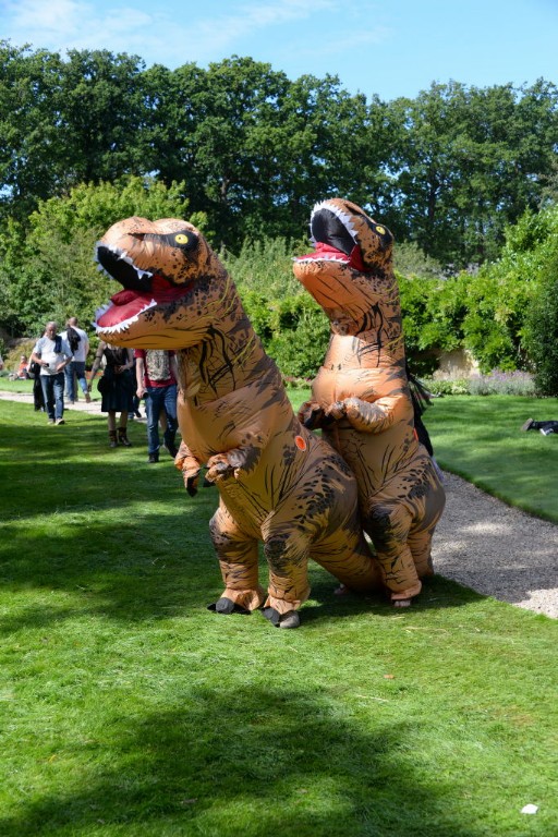../Images/Castlefest 2017 zaterdag 107.jpg